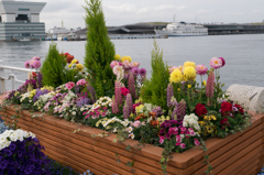 山下公園　花と客船