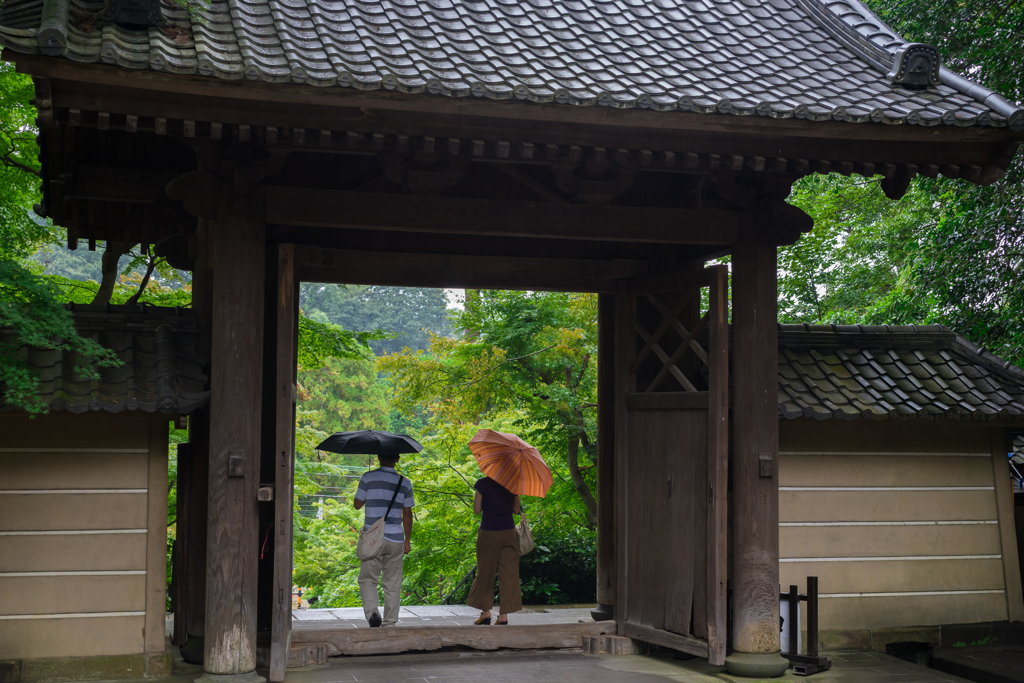 雨の円覚寺