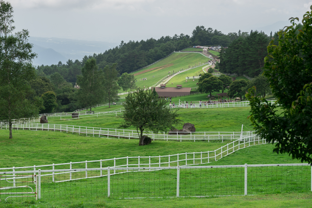 清里　まきば牧場