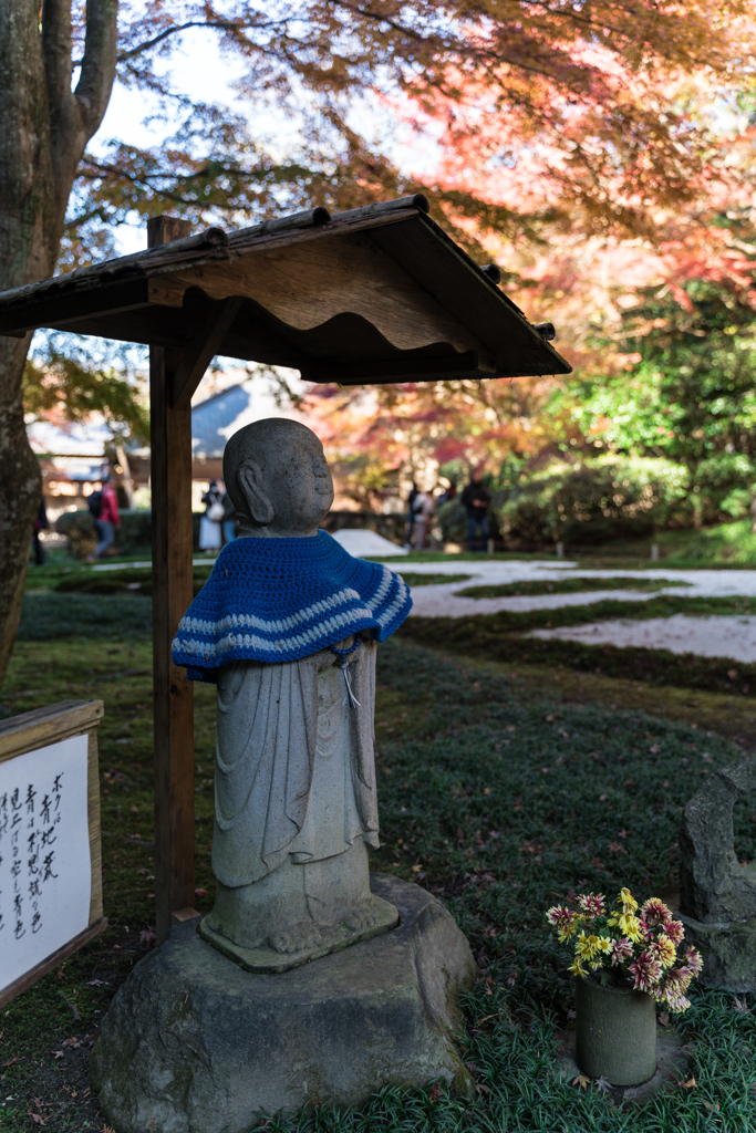 秋の明月院