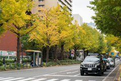 山下公園　紅葉