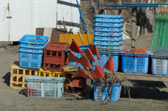 2021-02-14 材木座海岸