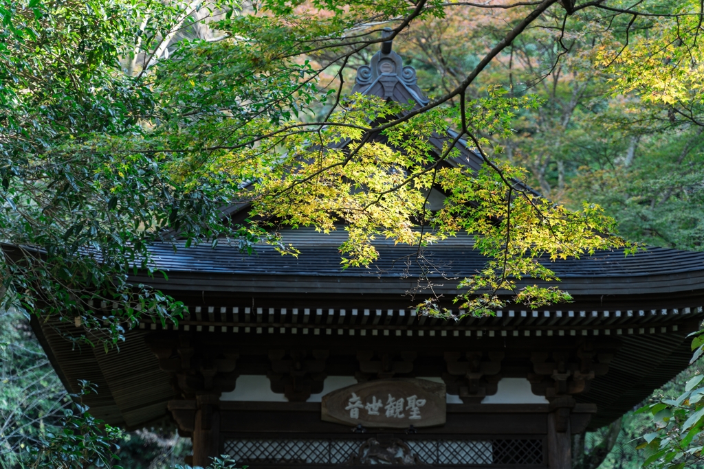 秋の円覚寺