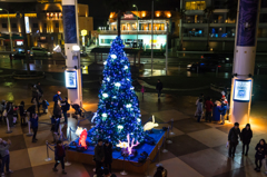 新江ノ島水族館　クリスマスツリー