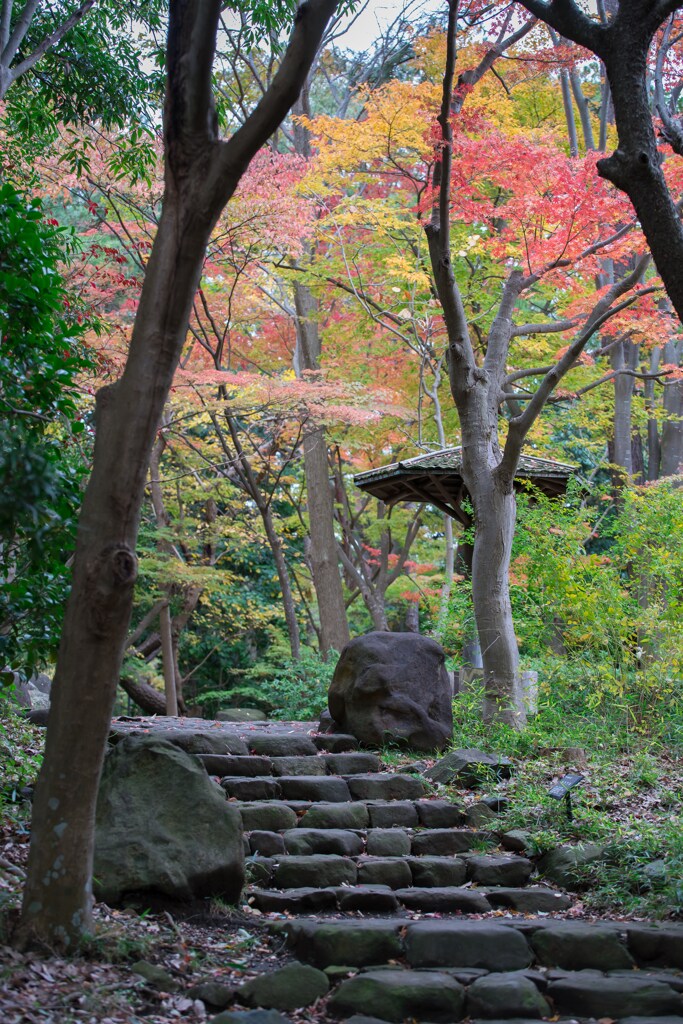 平塚総合公園　日本庭園