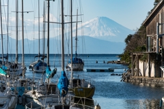 諸磯湾と富士山