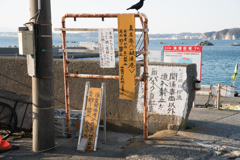 葉山スナップ