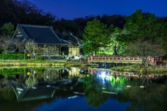 2020年 元旦の称名寺