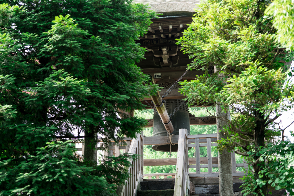 川崎大師スナップ