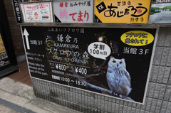 フクロウの森　ビル入り口