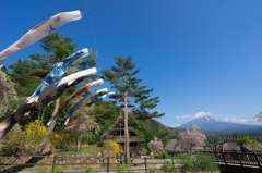 西湖いやしの里根場