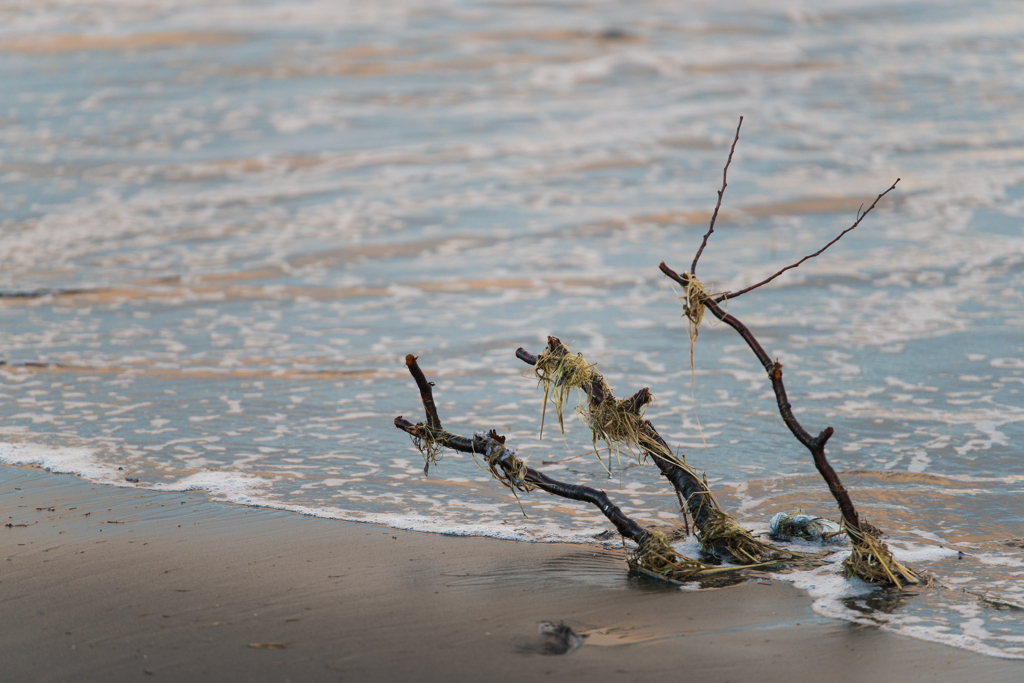 茅ヶ崎ヘッドランド