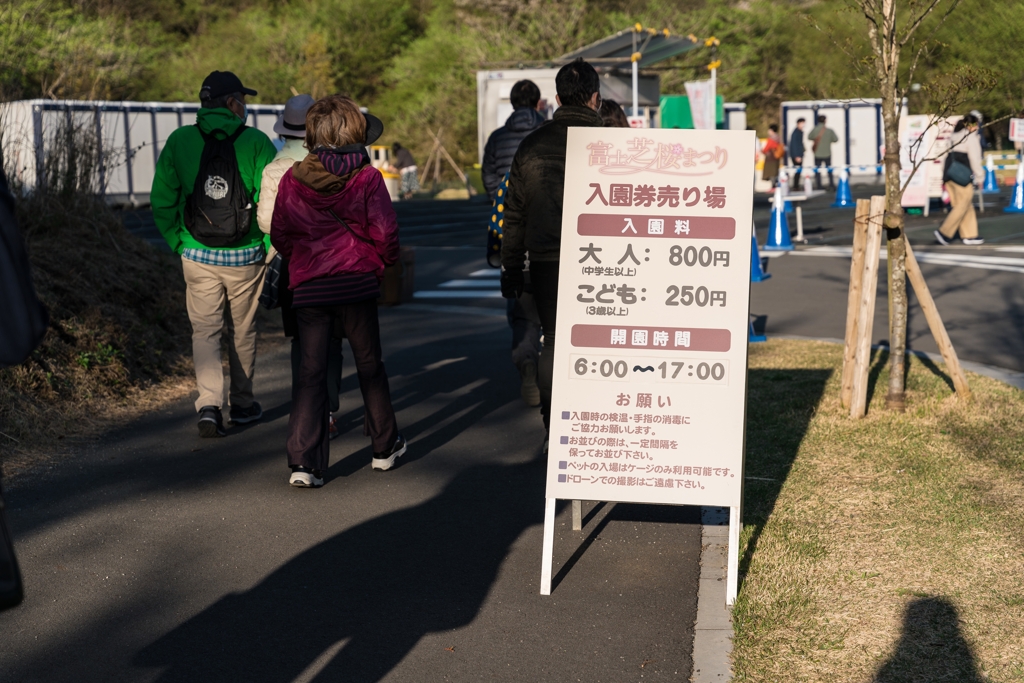 富士芝桜まつり2021