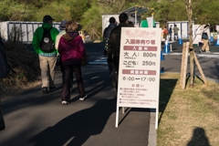 富士芝桜まつり2021