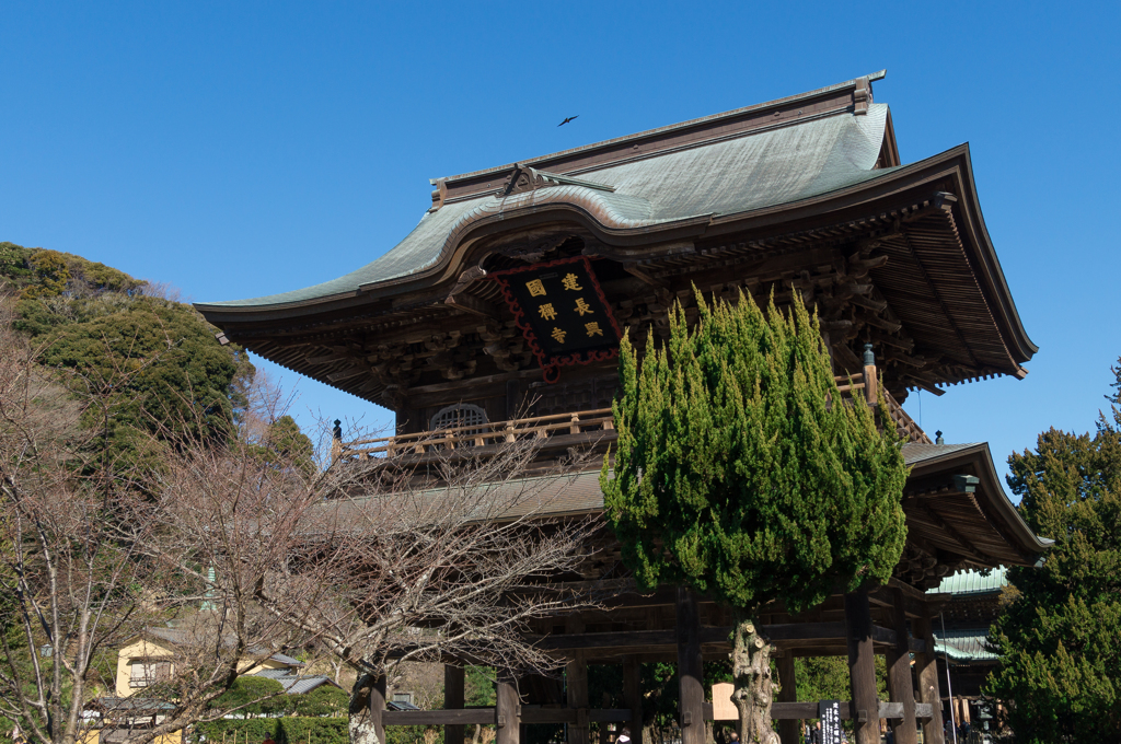 鎌倉　建長寺