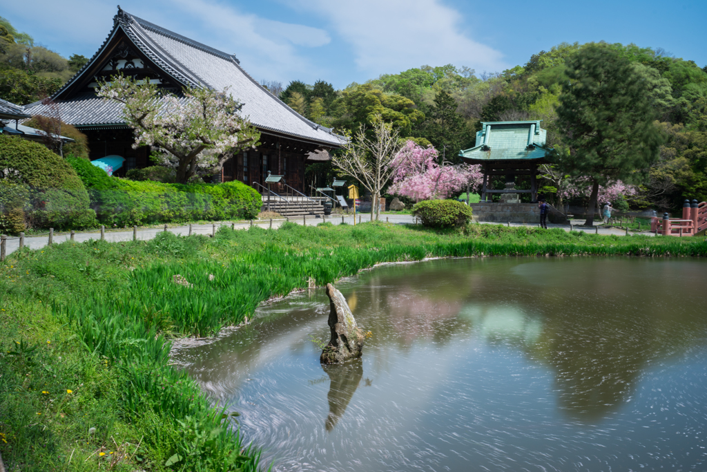 2017　春の称名寺