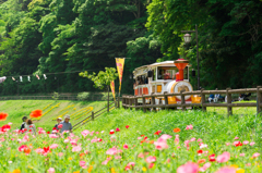 くりはま花の国