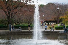 平塚総合公園　