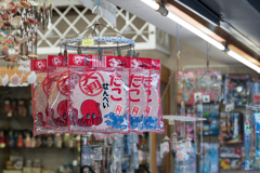 江ノ島スナップ