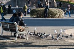 2021-01-31 山下公園