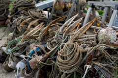 鎌倉スナップ　由比ヶ浜