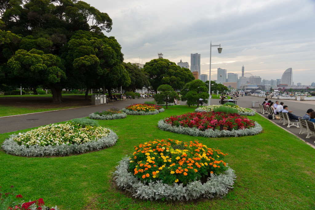 2015-06-27 山下公園