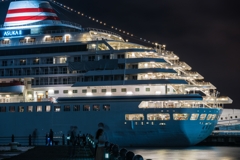 飛鳥Ⅱ（100-400mm F5-6.3 DG DN OSテスト）