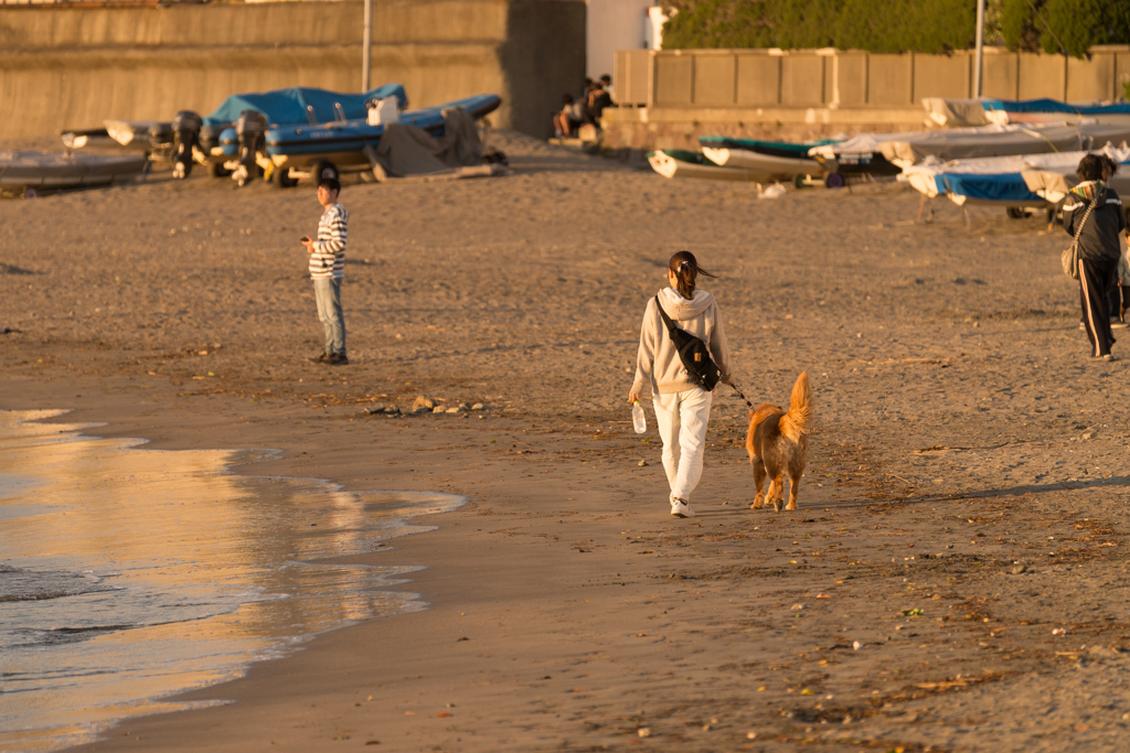 平日の森戸海岸