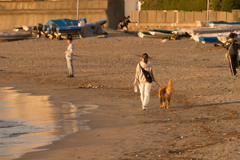 平日の森戸海岸