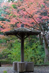 平塚総合公園　日本庭園