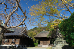 秋の称名寺