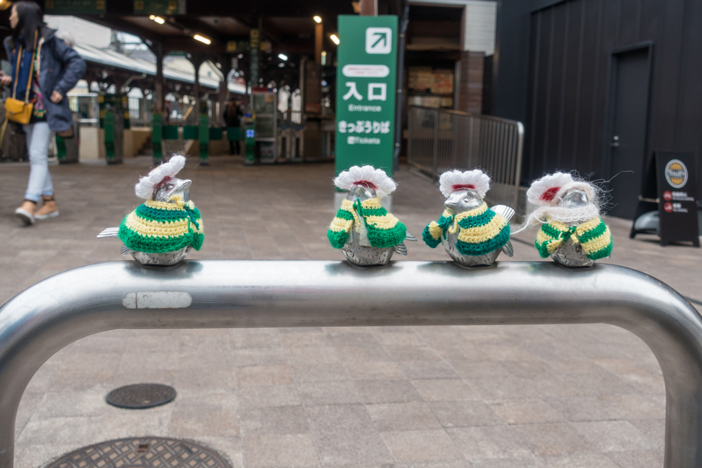江ノ島駅の雀たち