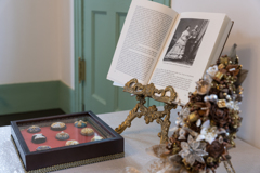 ブラフ18番館　クリスマス装飾