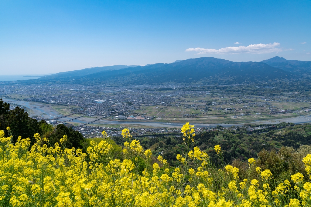 菜の花と風景