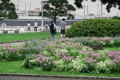 山下公園（100-400mm F5-6.3 DG DN OSテスト）