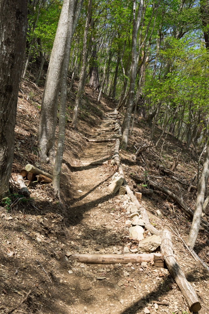 本栖湖展望台登山道