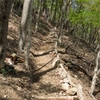 本栖湖展望台登山道