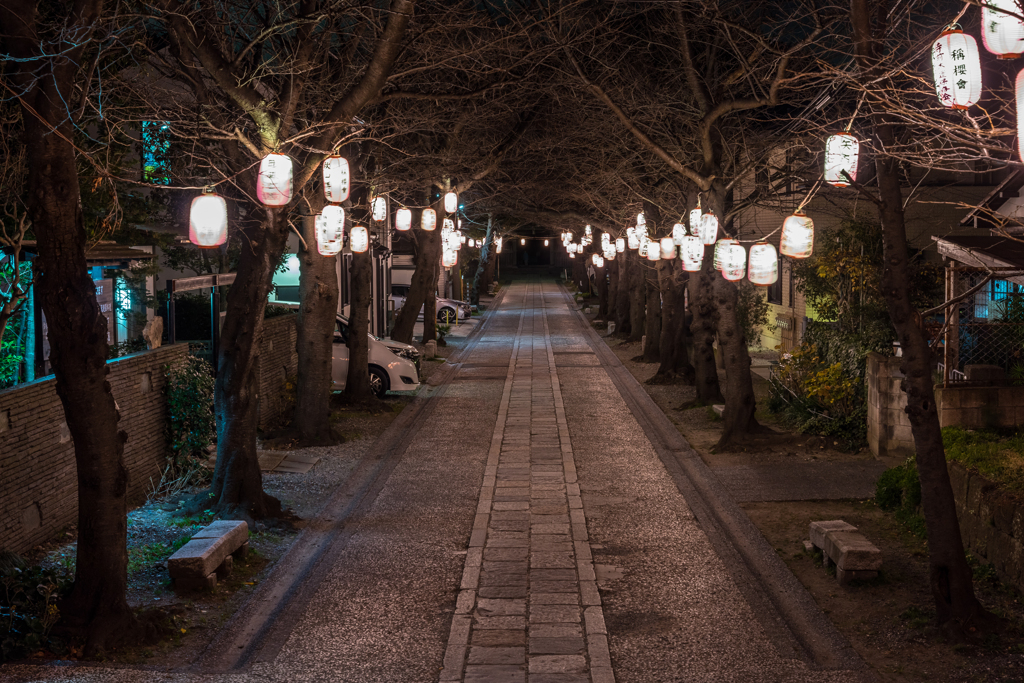 2019年大晦日の称名寺