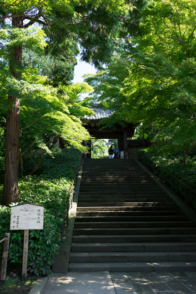 円覚寺階段