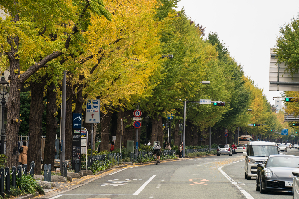 山下公園　紅葉