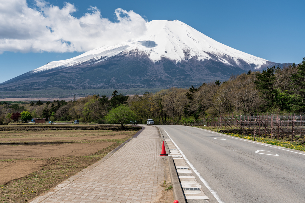 山中湖　花の都公園