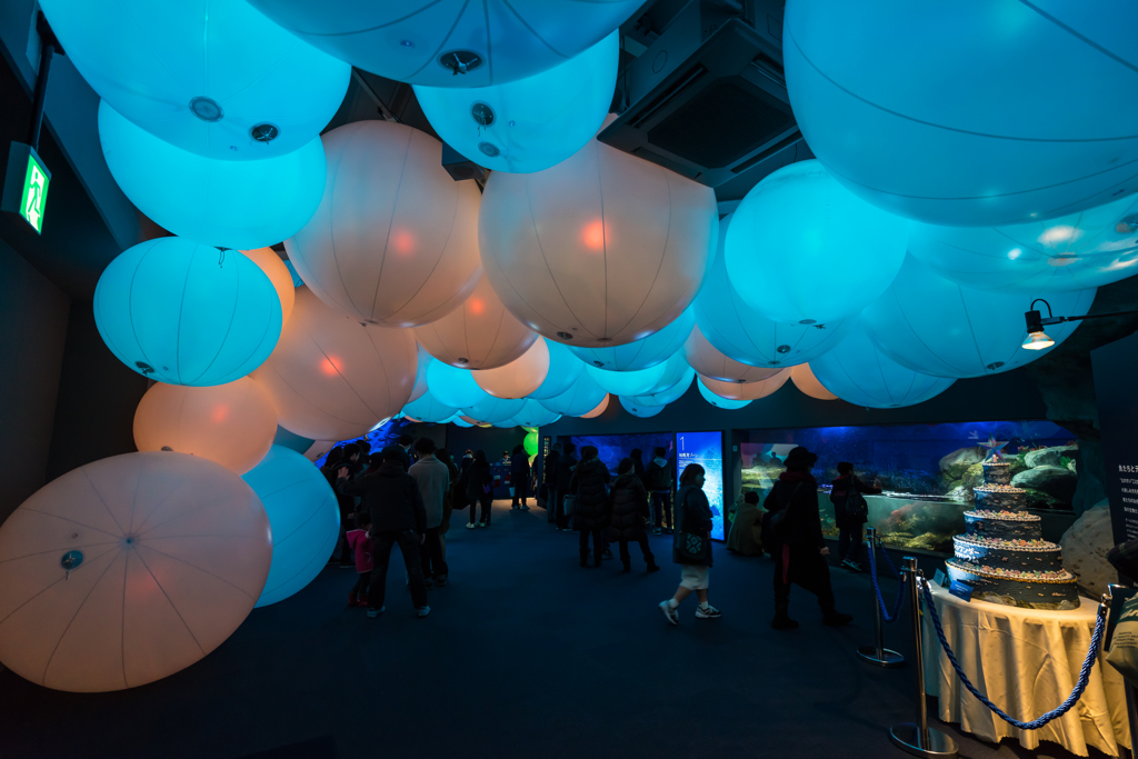 新江ノ島水族館