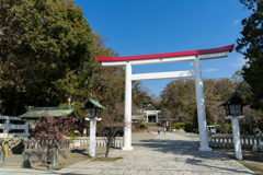鎌倉宮白い鳥居