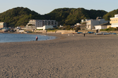 平日の森戸海岸