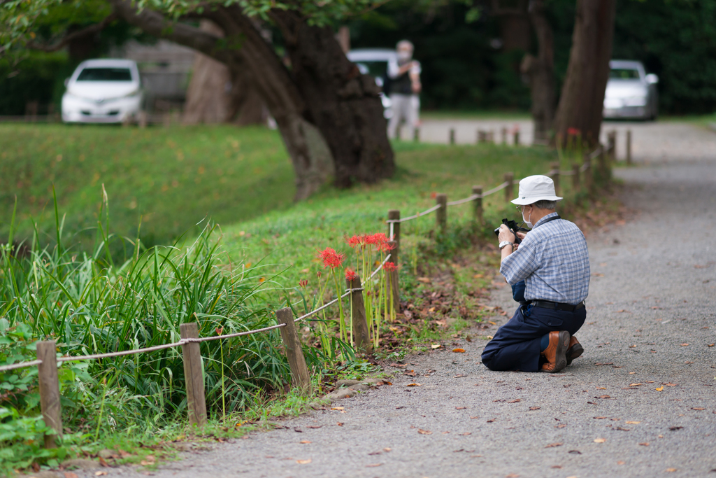 称名寺スナップ