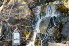 葉山しおさい公園