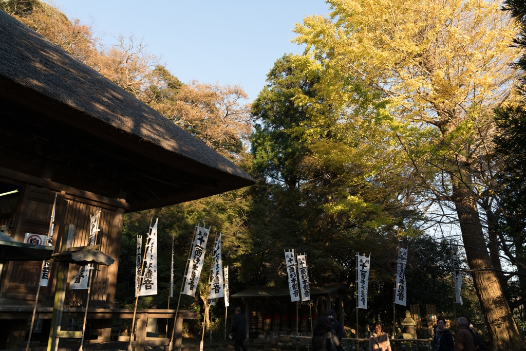 鎌倉　杉本寺