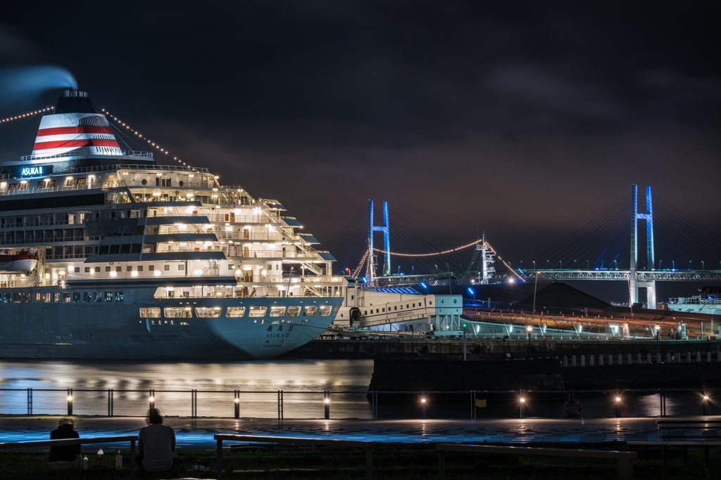 飛鳥Ⅱ（100-400mm F5-6.3 DG DN OSテスト）