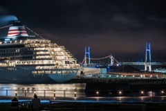 飛鳥Ⅱ（100-400mm F5-6.3 DG DN OSテスト）