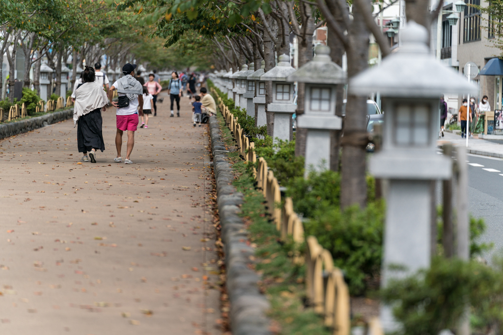 鎌倉　鶴岡八幡宮